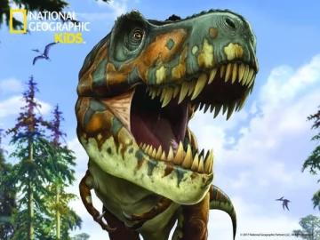 Стерео пазл PRIME 3D 13574 Тираннозавр 