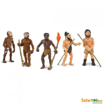 Набор обучающий Safari Ltd Эволюция человека